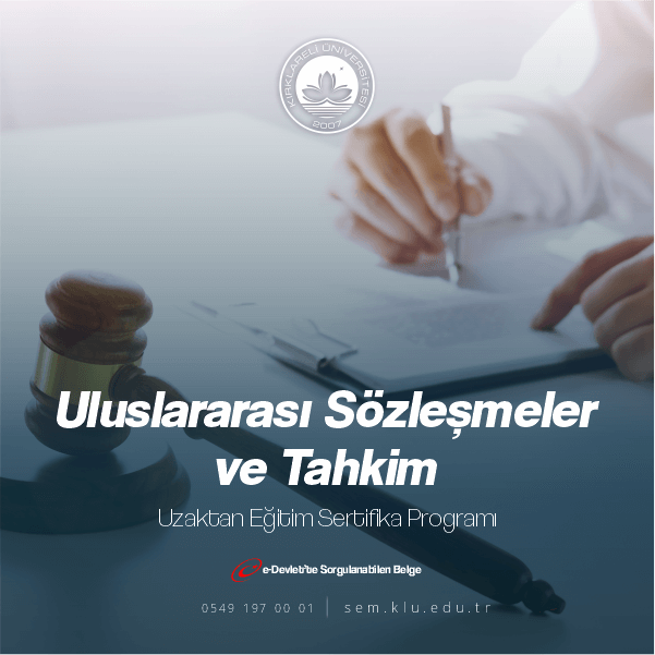 Uluslararası tahkim, kabul edilen herhangi bir anlaşmazlığı çözmek için kullanılabilir “arbitrable,” kapsamı eyaletten eyalete değişen bir terim, ancak ticari uyuşmazlıkların çoğunu içerir.