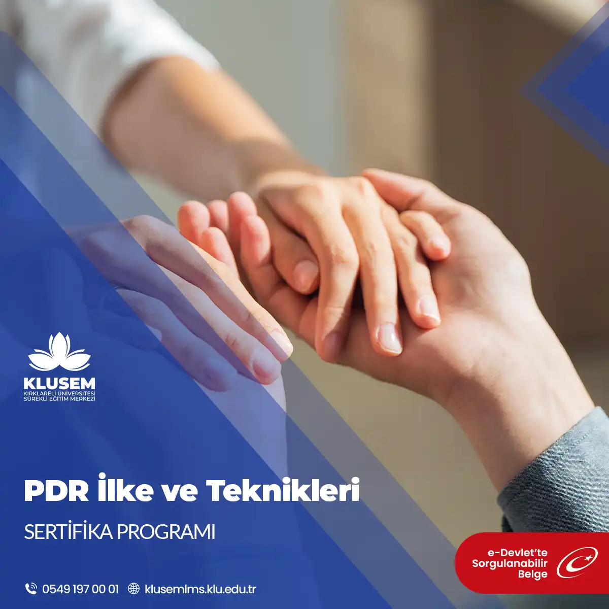 Pdr İlke ve Teknikleri Eğitimi Sertifika Programı