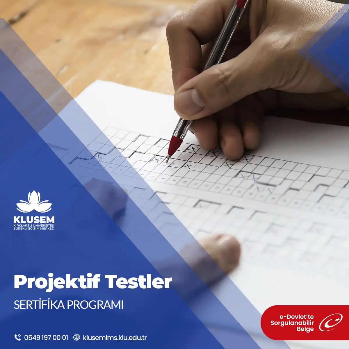 Projektif Testler Eğitimi Sertifikası