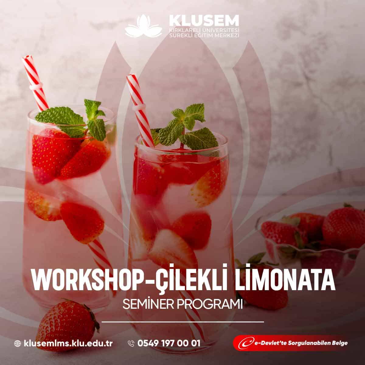 Workshop - Çilekli Limonata Semineri